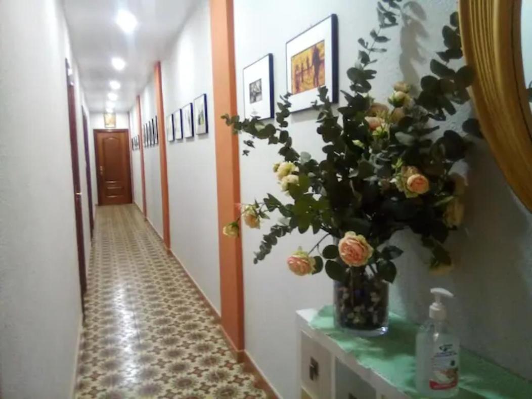 Las Golondrinas Zaragoza Saragosse Extérieur photo